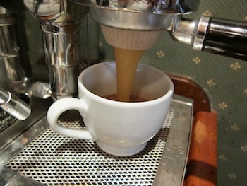 \"espresso-collar2.jpg\"